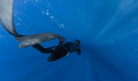 Essential Gear for Your First Underwater Adventure