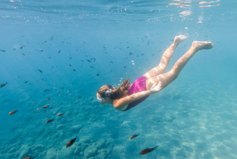 Getting Certified: Your Passport to the Underwater World