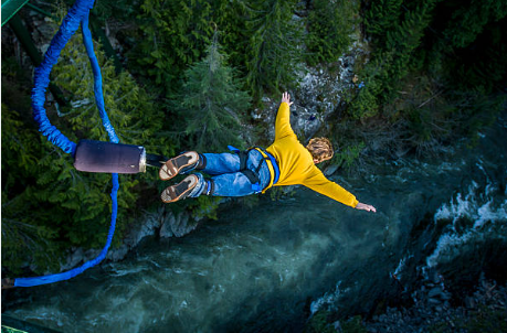 The Physics of the Fall: Gravity Meets Elasticity