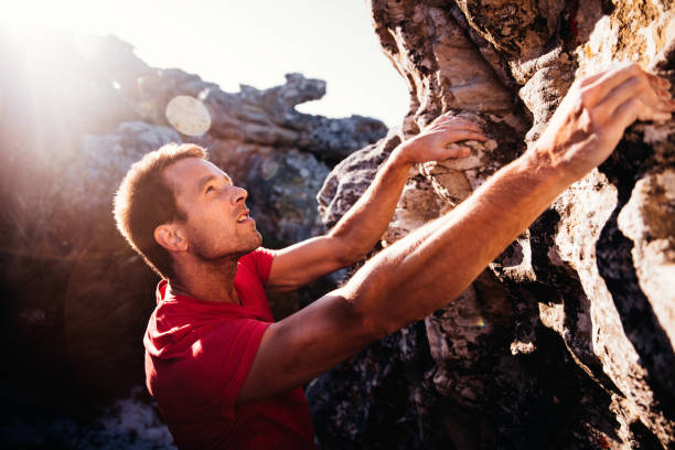 The Neural Blueprint: Rewiring Your Brain for Peak Performance